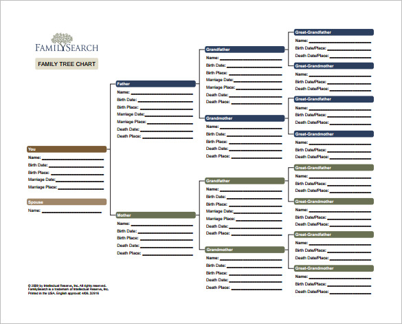 12 Family Tree Chart Template Word Excel PDF Format Download 