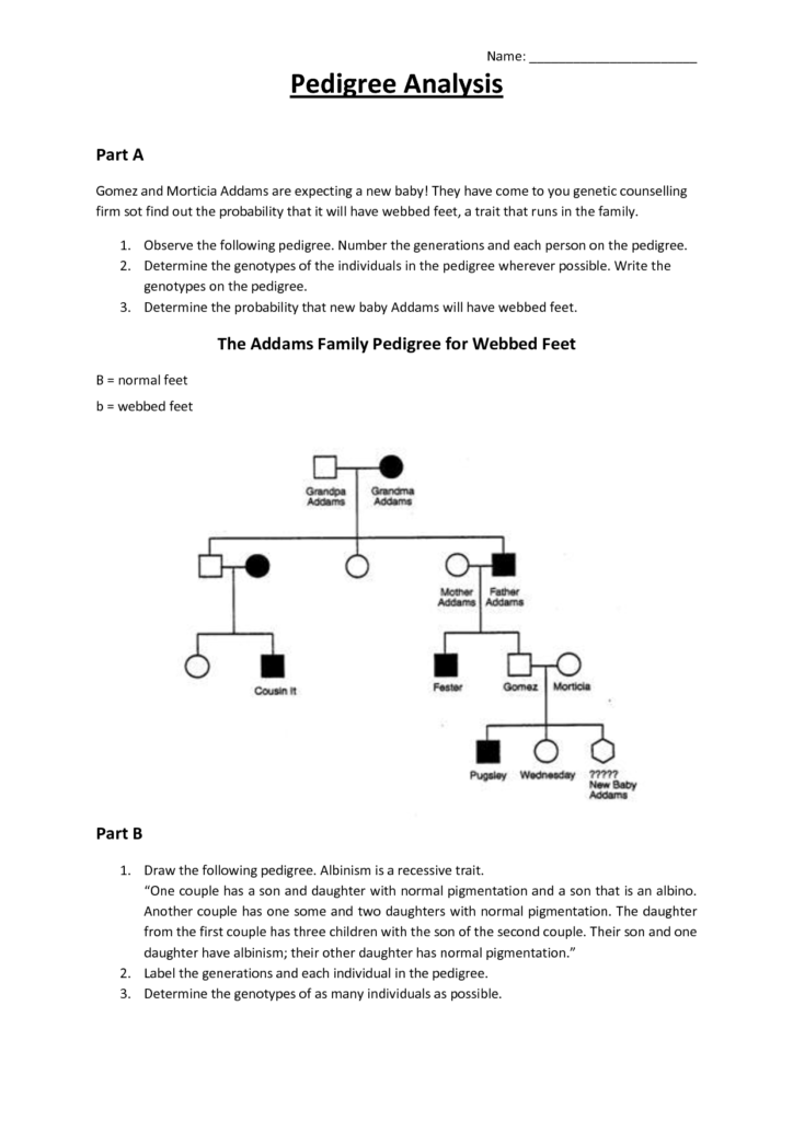 14 Genetics Pedigree Worksheet Subject And Predicate Worksheets Word 