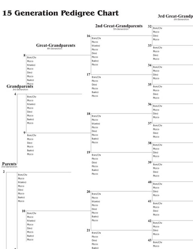 15 Generation Chart Nine Generations Are On The Front And Six More 