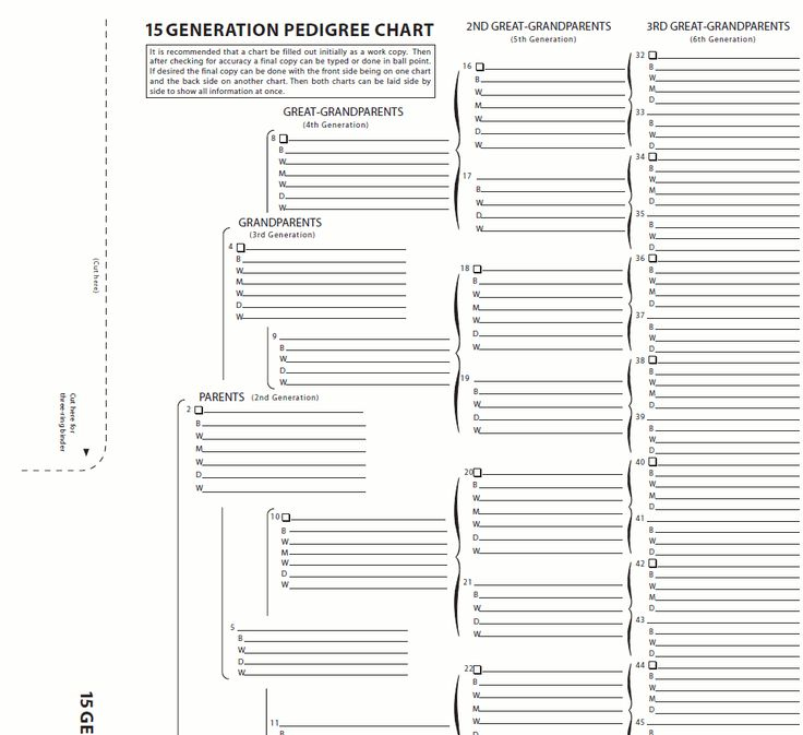 15 Generation Family Tree Chart NBKomputer