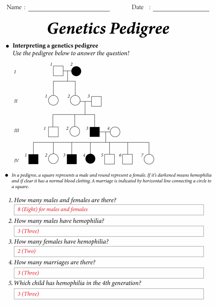 15 Pedigree Worksheet With Answer Key Free PDF At Worksheeto
