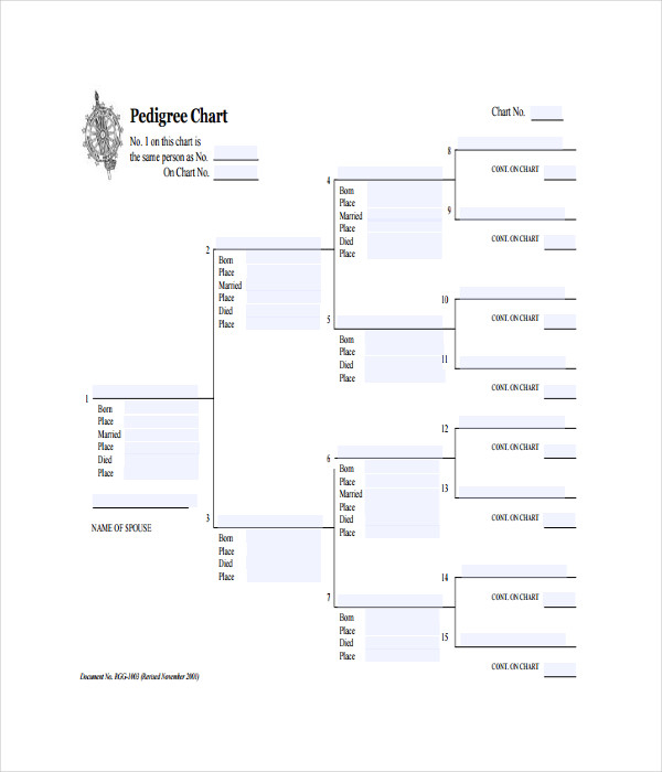 19 Chart Templates Free Word PDF Documents Download