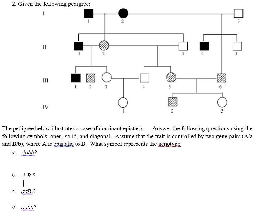 2 Given The Following Pedigree The Pedigree Below Illustrates A Case Of 