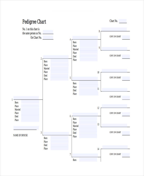 25 Chart Examples To Download