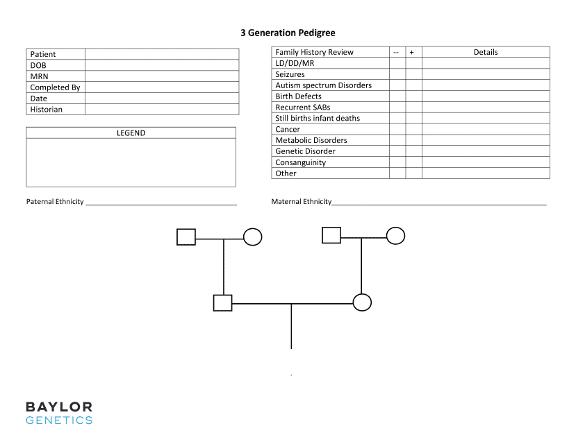 3 Generation Pedigree Chart Template Download Printable PDF 