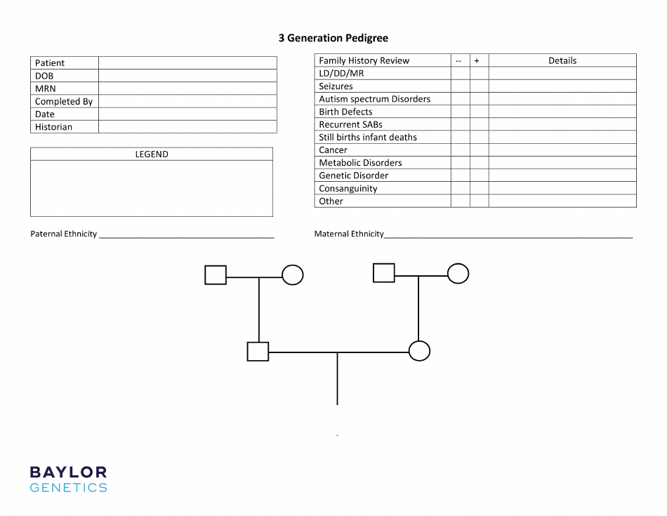 3 Generation Pedigree Chart Template Download Printable PDF 