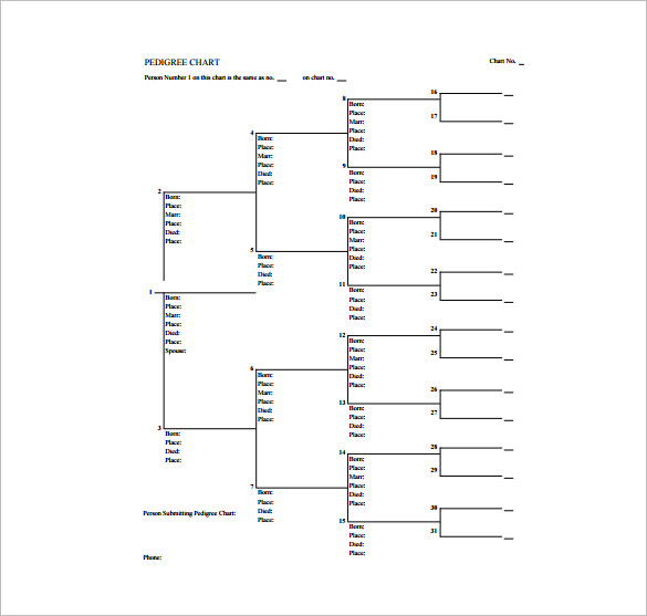 31 Pedigree Chart Templates PDF DOC Excel