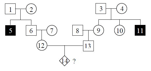 4 5 Calculating Probabilities Using Pedigree Charts Introduction To 