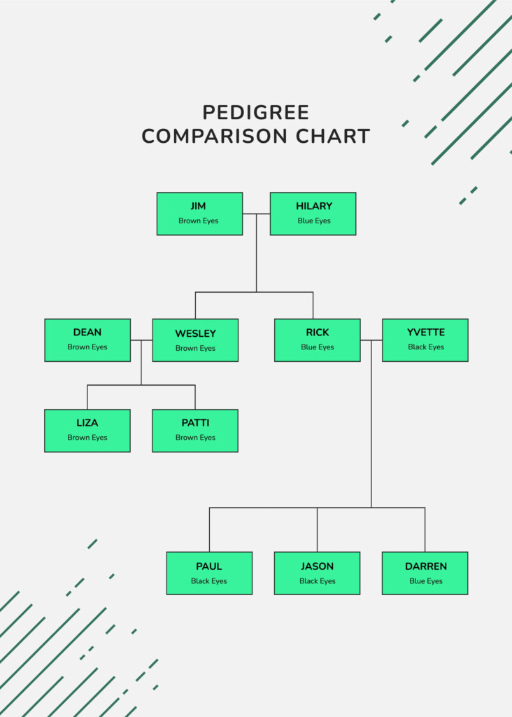4 Generation Pedigree Chart In Illustrator PDF Download Template