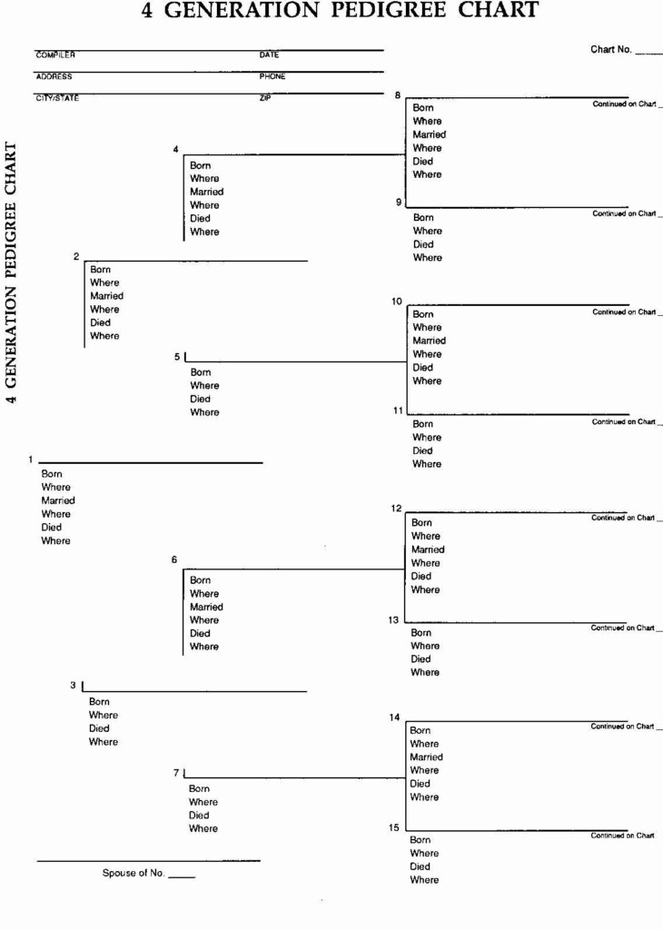 4 Generation Pedigree Chart New Burton Green Family History Business 