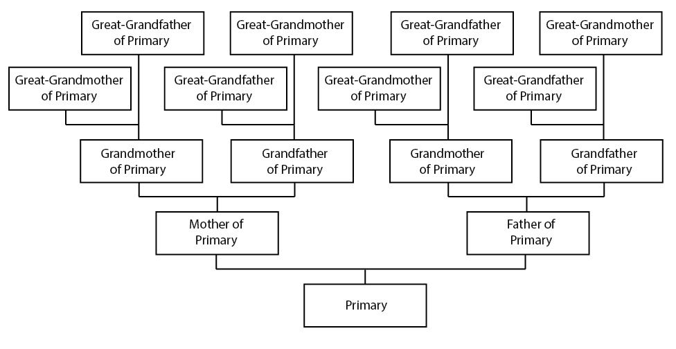 4 Generation Pedigree Chart Printable 4 generation Pedigree