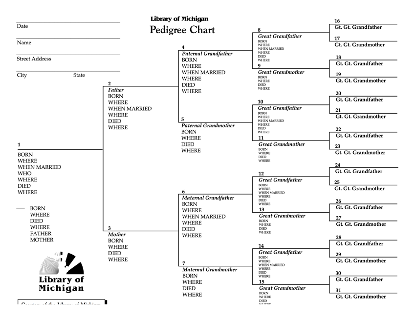 42 Family Tree Templates For 2018 Free PDF DOC PPT Freebie Supply