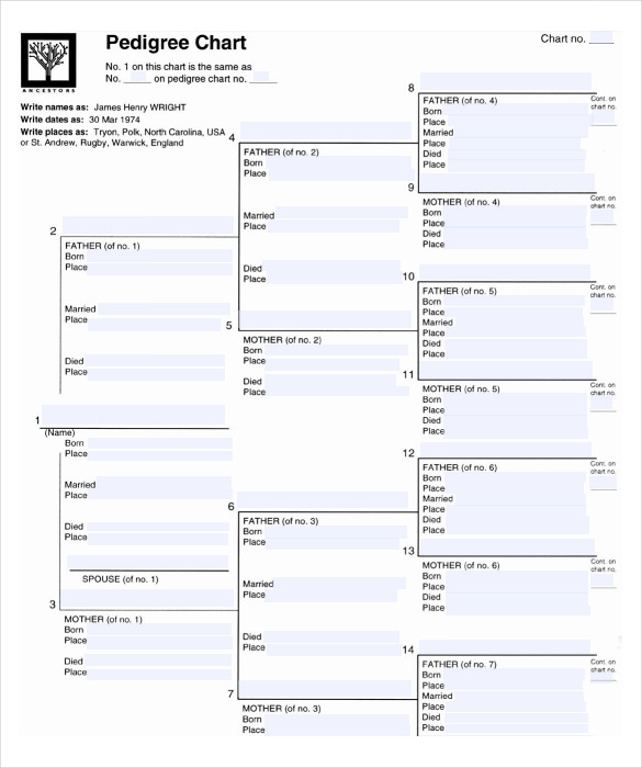 47 Genogram Templates In PDF MS Word Apple Pages Google Docs