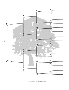 5 Generation Family Tree With Brackets Vertical Template Family 