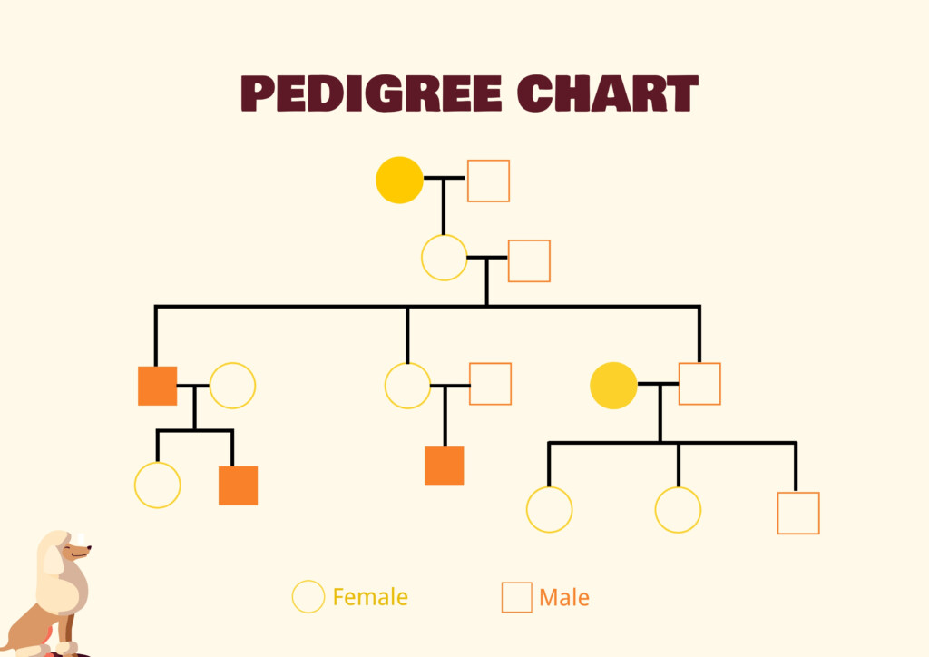 5 Generation Pedigree Chart Illustrator PDF Template