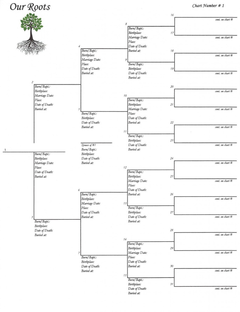 5 Generation Pedigree Chart Template