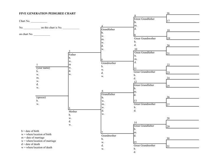5 Generation Pedigree Chart Template