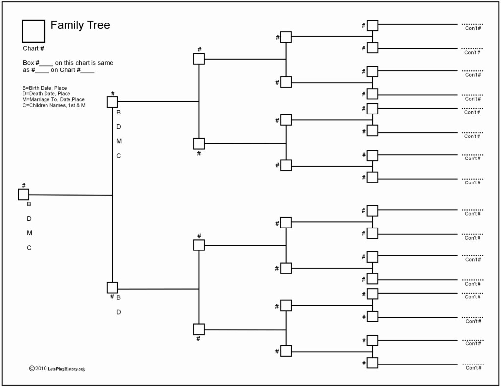 6 Generation Family Tree Template