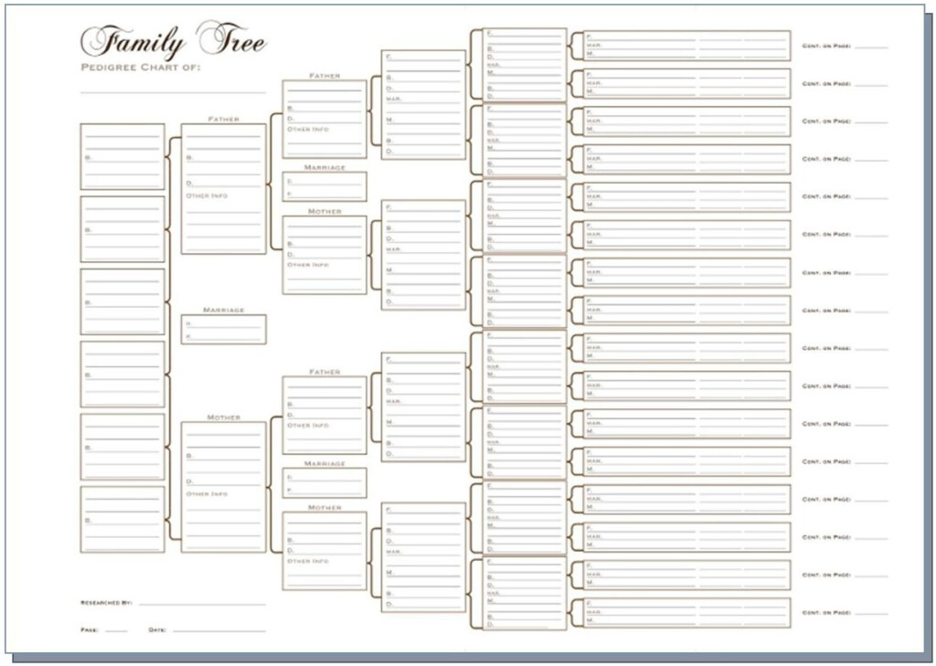 6 Generation Family Tree Template