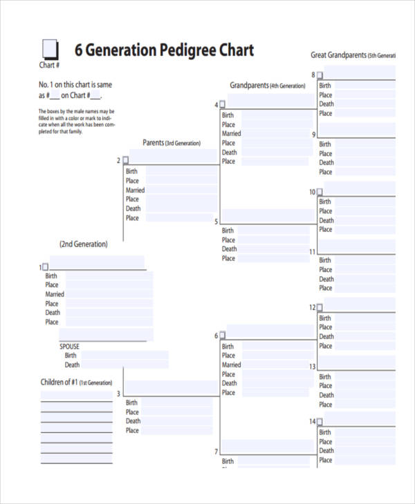 6 Generation Pedigree Chart