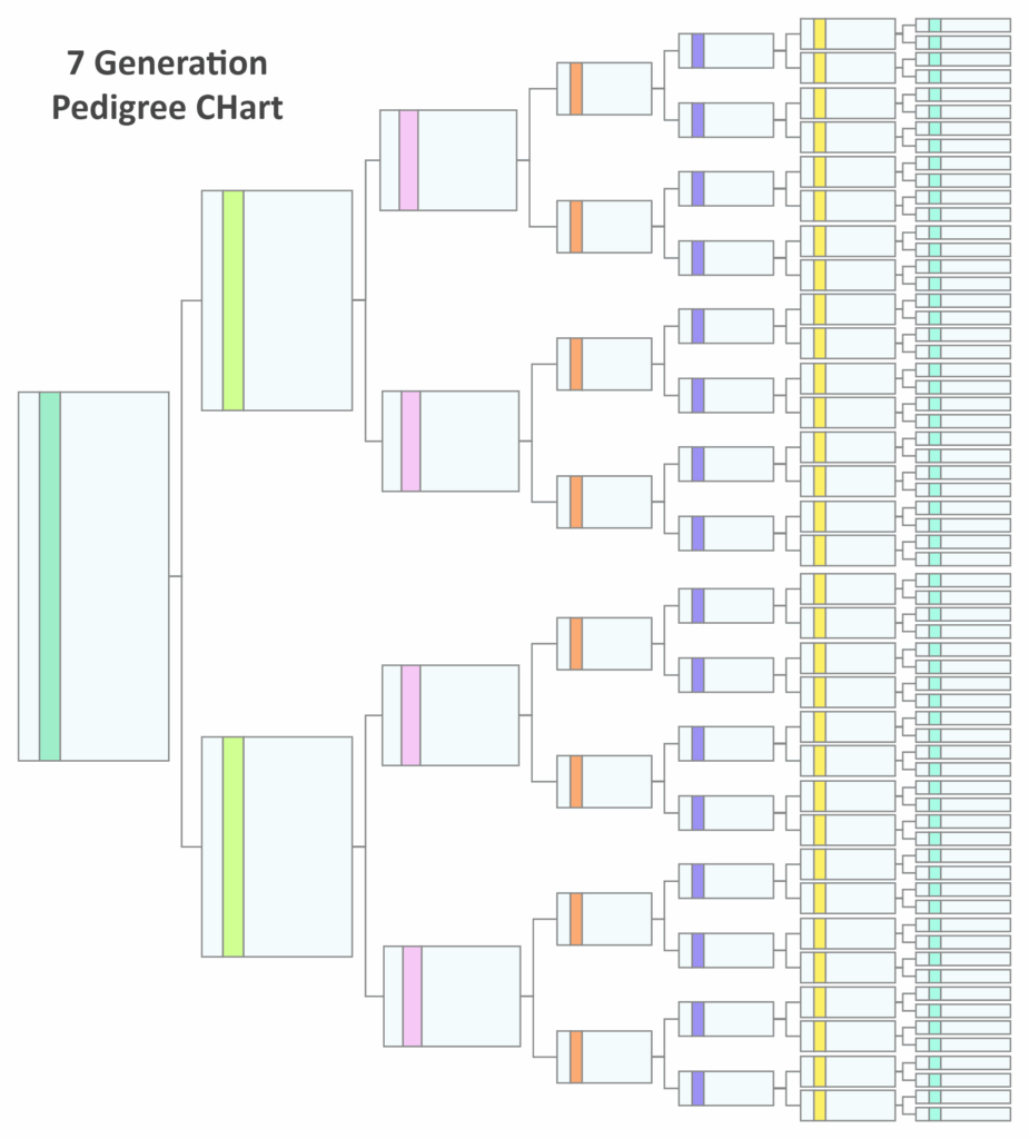7 Generation Pedigree Chart EdrawMax Template
