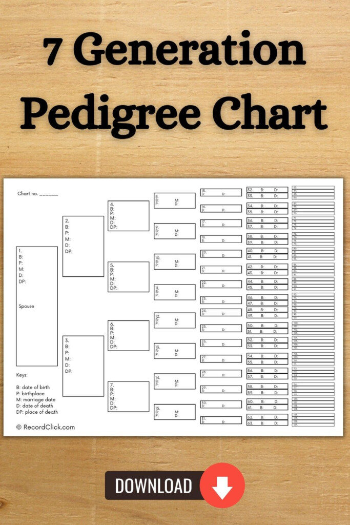 7 Generation Pedigree Chart Pedigree Chart Family Tree Template Chart