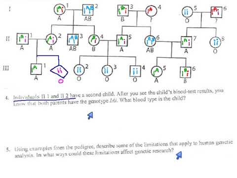 75 Pedigree ABO Blood Types p60 YouTube