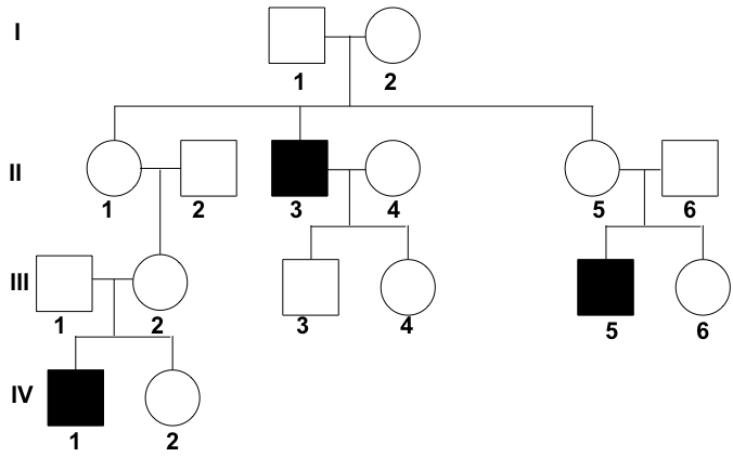 A Beginner s Guide For Pedigree Chart EdrawMax