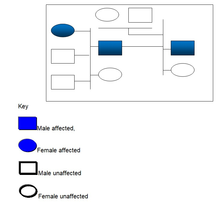Achondroplasia Pedigree Chart