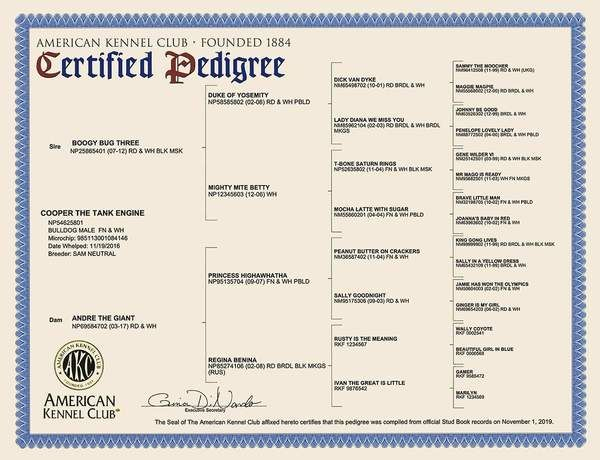 AKC Certified Pedigrees AKC Shop Akc Pedigree Chart American 