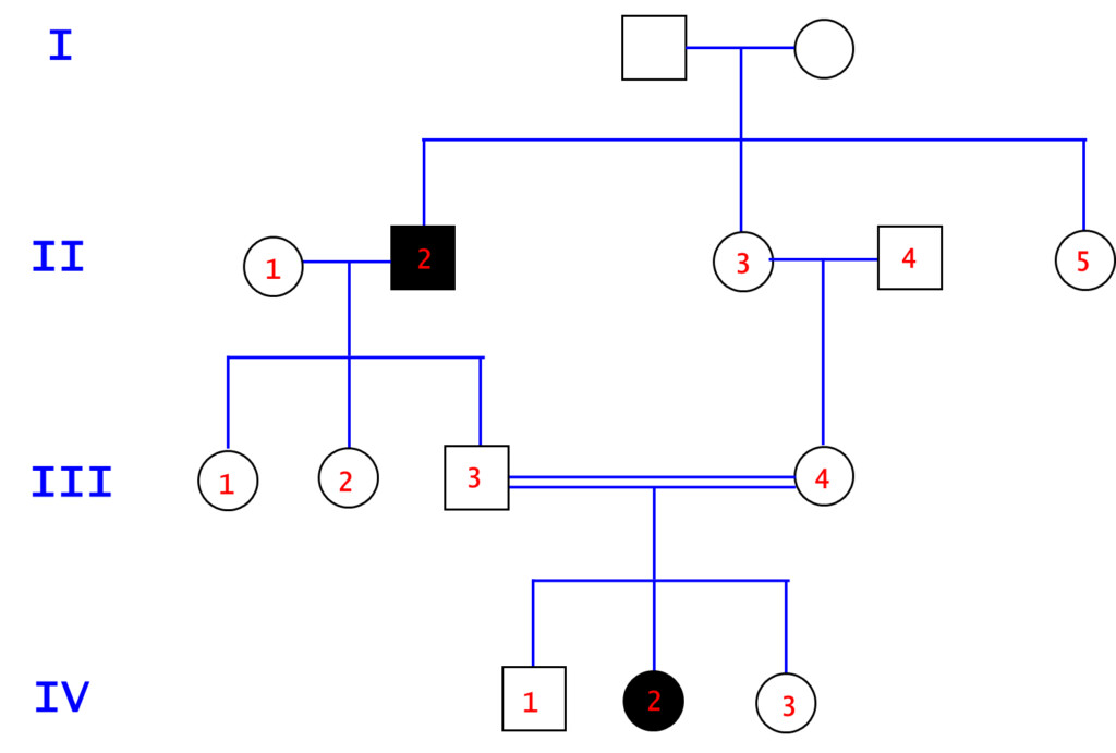 Albinism Pedigree Chart