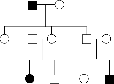 Albinism Pedigree Chart