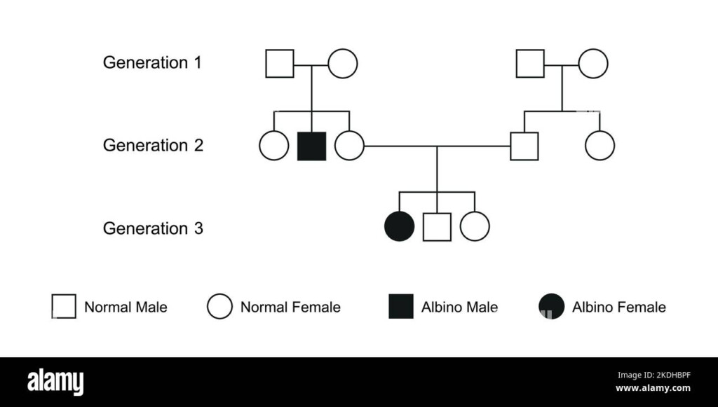 Albinism Pedigree Family