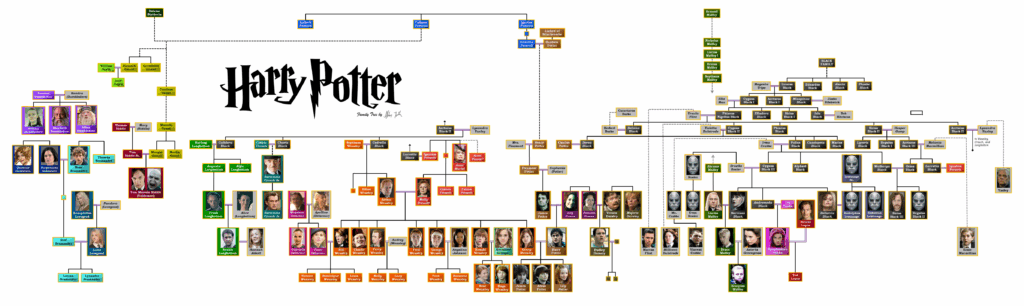 All Wizarding Families Are Connected Here 39 s The Most Complete Family 