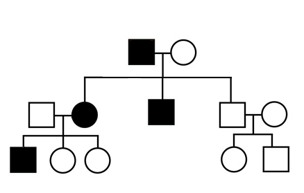 Alzheimer 39 s Disease And Genes Alzheimer Disease Foundation