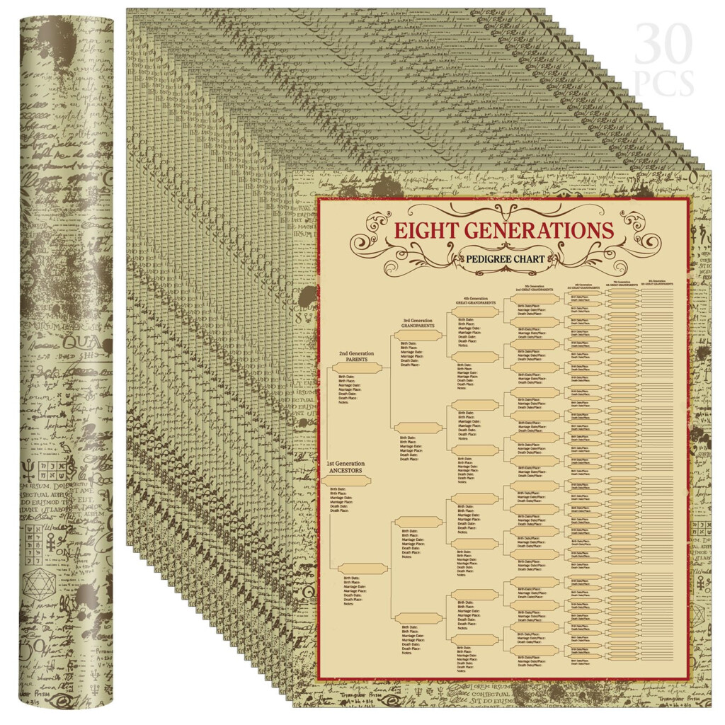 Amazon Sinload 30 Pcs Family Tree Charts To Fill In Genealogy 
