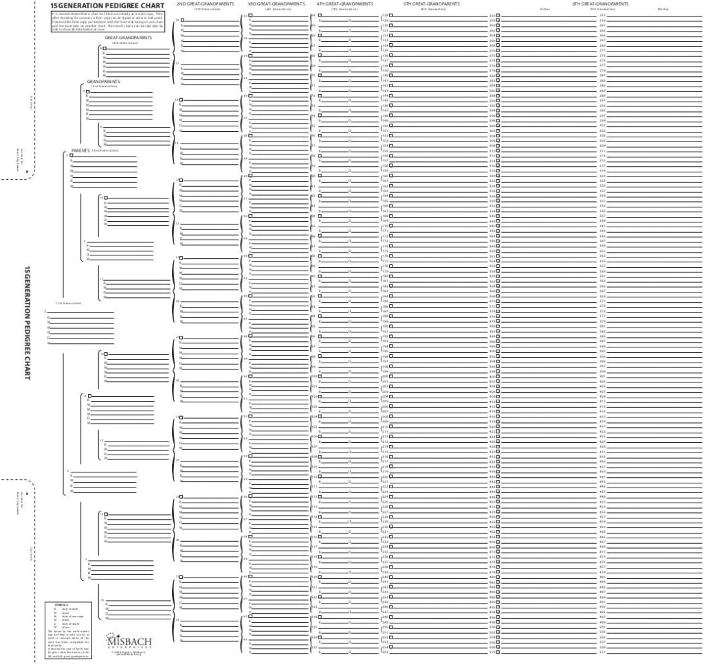 Amazon TreeSeek 15 Generation Pedigree Chart Blank Genealogy 