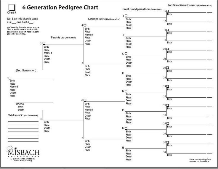 Ancestry Charts For Free To Print Six Generation Chart By Misbach Fan 