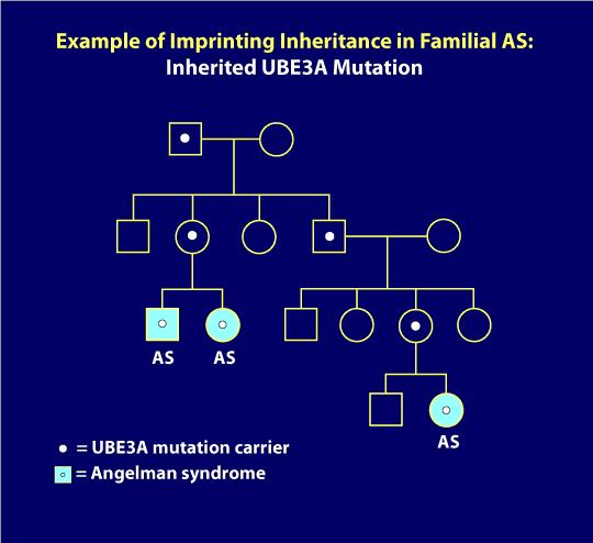Angelman Syndrome Pedigree Chart