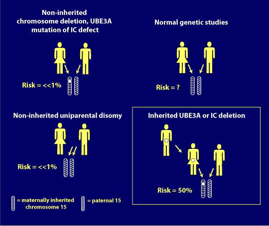 Angelman Syndrome Pedigree Chart