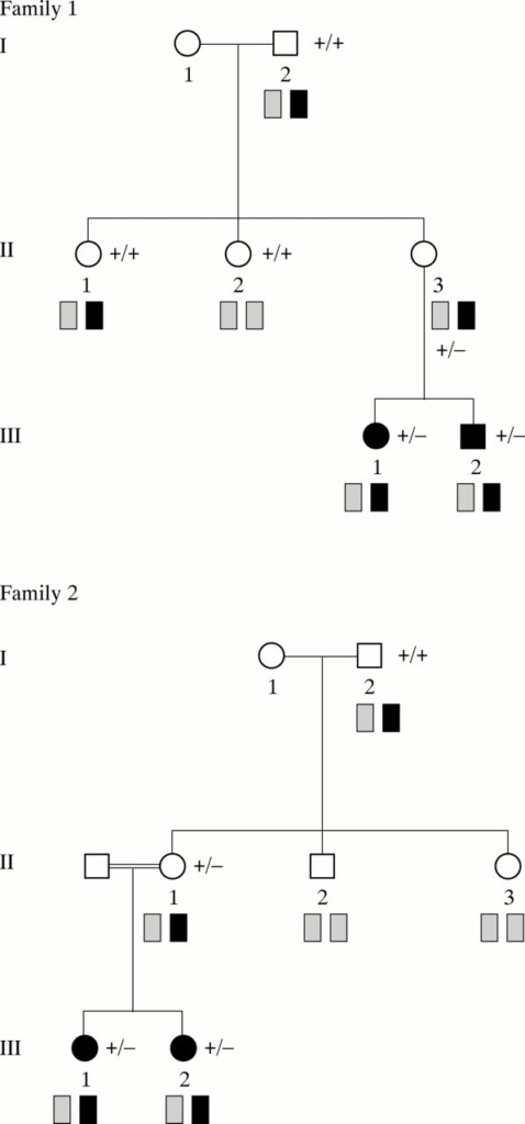 Angelman Syndrome Pedigree Chart