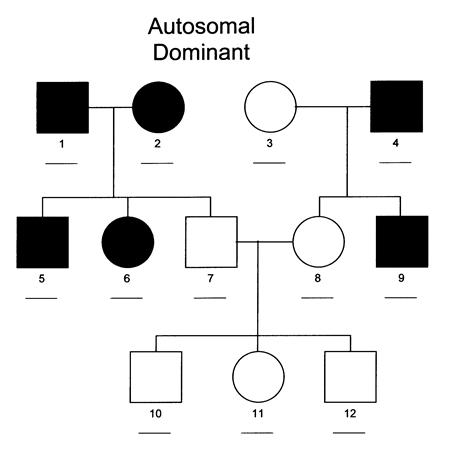 Angelman Syndrome Pedigree Chart