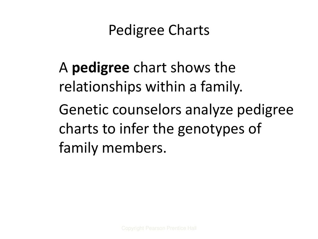 Applied Genetics And Pedigrees Ppt Download