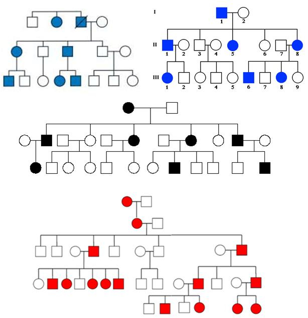 Autosomal Dominant Inheritance In Pedigree And Experiment Examples Of 