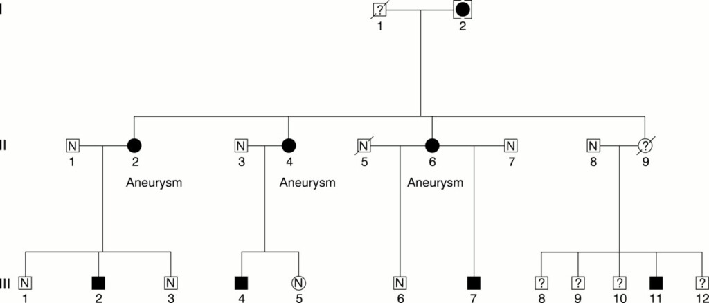 Autosomal Dominant Polycystic Kidney Disease Unlinked To ThePKD1 And 