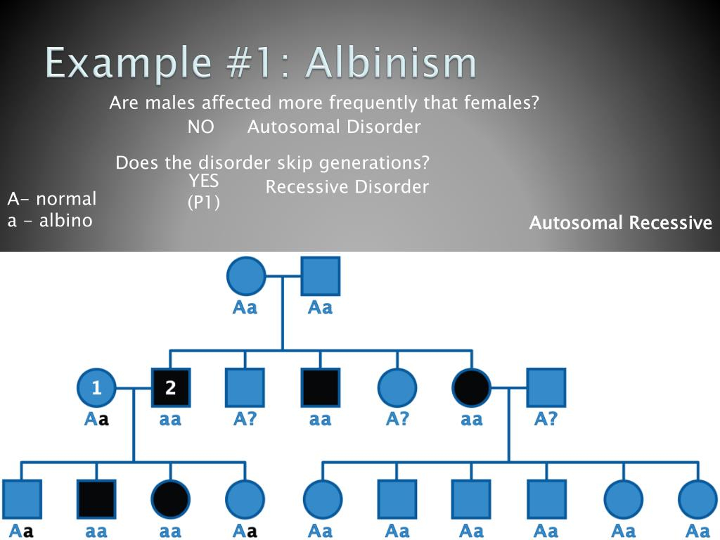 Autosomal Recessive Albinism Pedigree Chart The Chart EC8