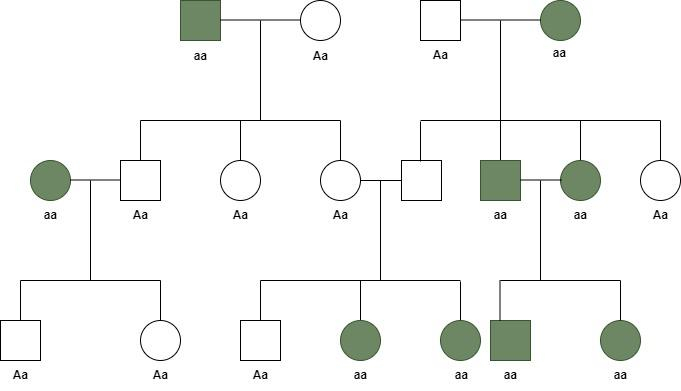 Autosomal Recessive Inheritance GeeksforGeeks