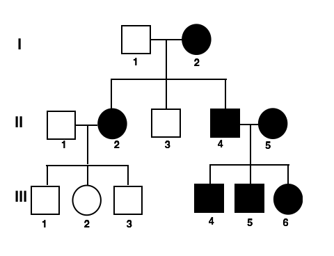 Autosomal Recessive Inheritance Pedigree