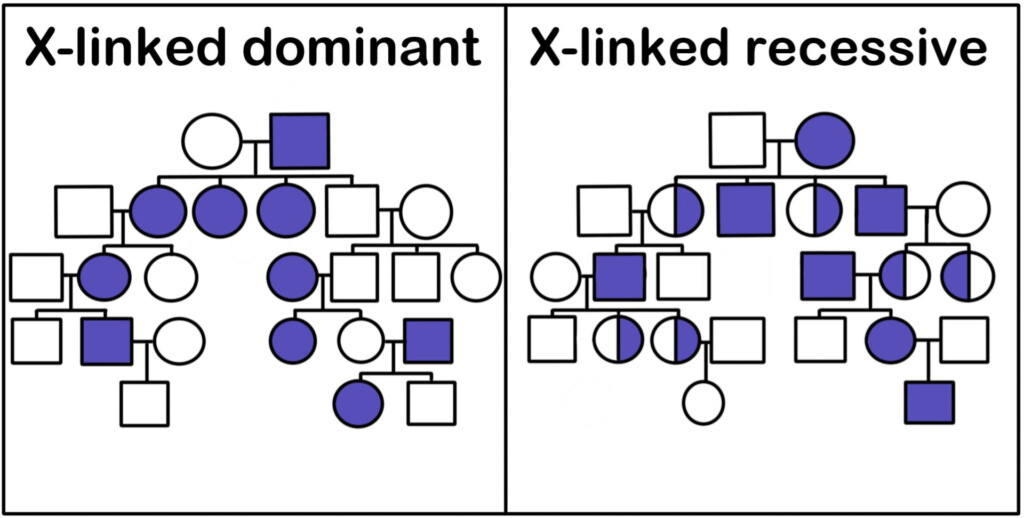 Autosomal Recessive Pedigree Chart