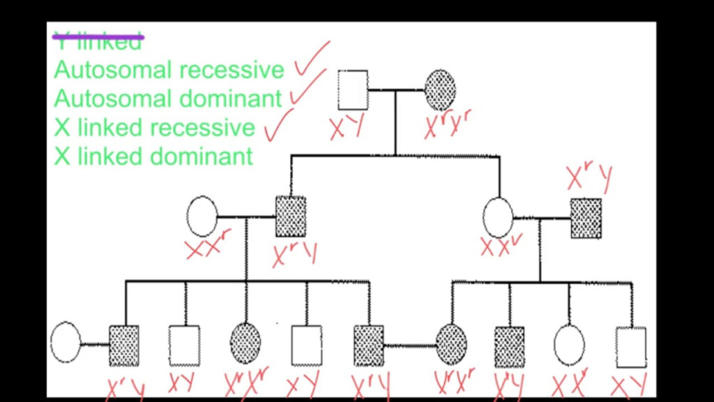 Autosomal Recessive Pedigree Chart